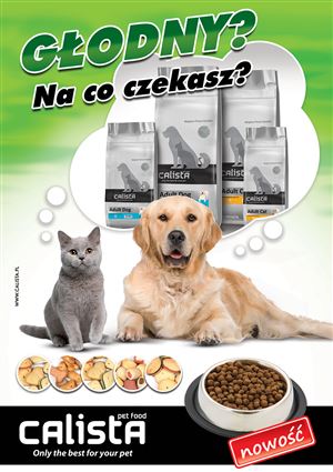 Plakat Calista - Agencja Reklamowa ImagoArt.pl